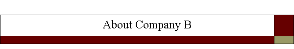 About Company B